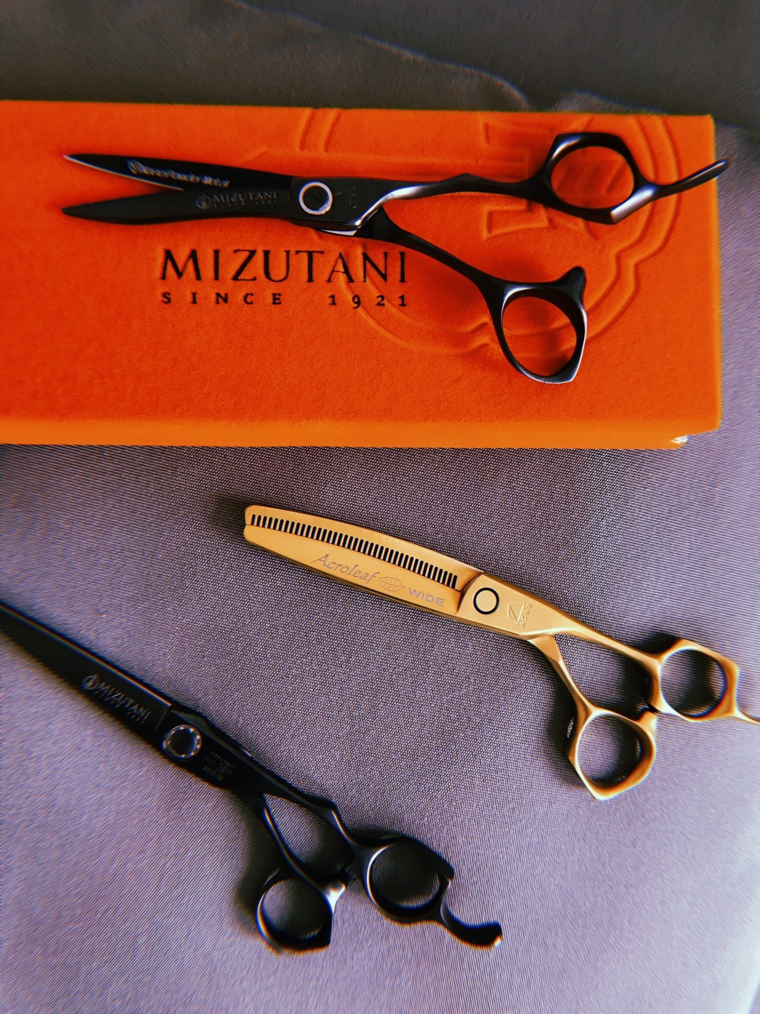 Black and Gold Made to Measure | Mizutani Scissors