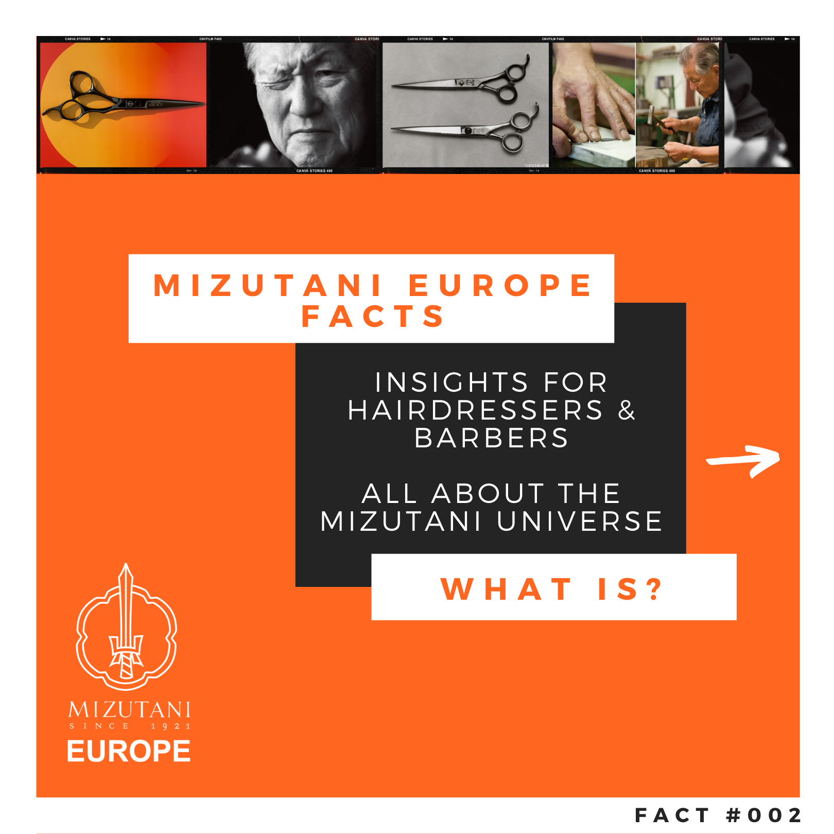 Mizutani Europe Facts Inhaltsfolie Nano Powder Metal