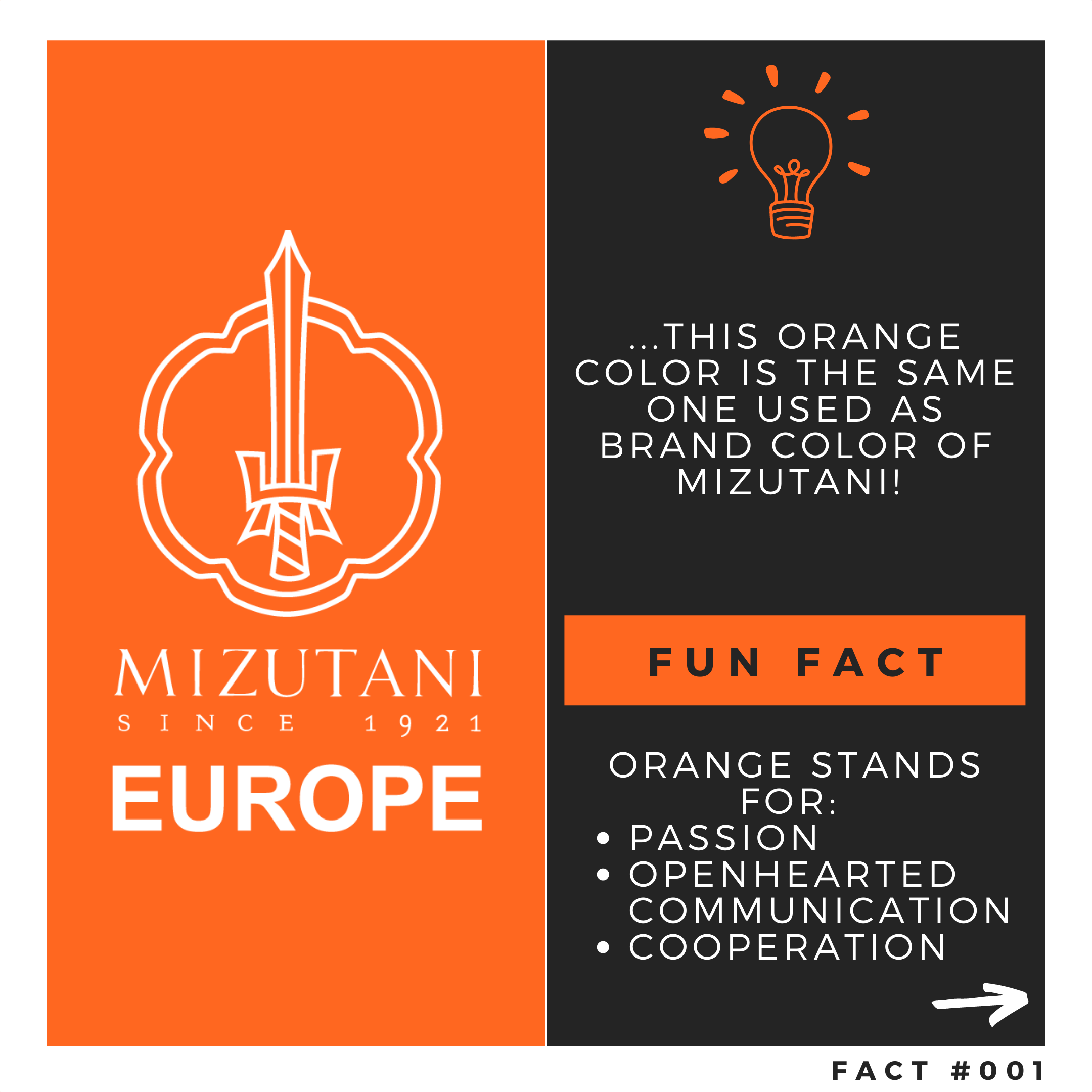 Mizutani Europe Facts Inhaltsfolie Markenfarbe Orange 