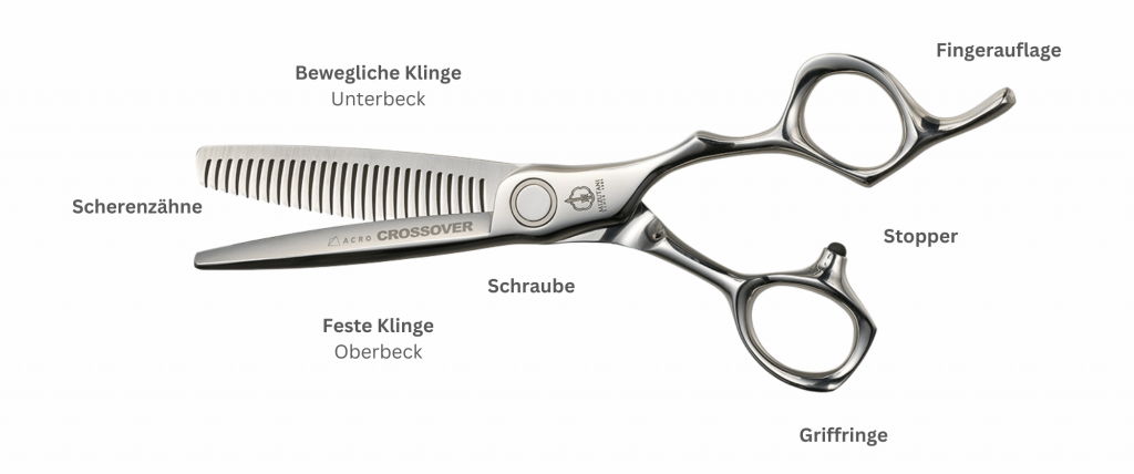 Mizutani Friseurscheren Detailbeschreibung einer Modellierschere: Bewegliche Klinge (Unterbeck) , Feste Klinge (Oberbeck), Scherenzähne, Schraube, Fingerauflage, Stopper, Griffringe