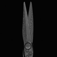 Dama Integral - Mizutani Hair Scissors