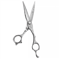 Dama Integral - Mizutani Hair Scissors
