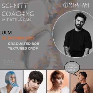 Attila Ulm Seminar Mizutani